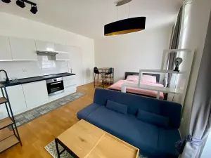 Pronájem bytu 1+kk, Praha - Vinohrady, Rubešova, 31 m2