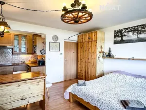 Prodej bytu 2+kk, Harrachov, 50 m2