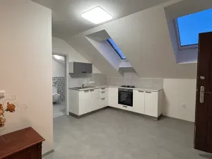 Pronájem bytu 2+kk, Brno, Jeronýmova, 52 m2