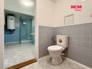 Pronájem bytu 2+1, Hobšovice - Skůry, 87 m2