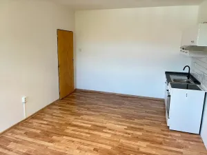 Pronájem bytu 1+kk, Karlovy Vary, T. G. Masaryka, 27 m2