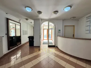 Pronájem obchodního prostoru, Teplice, Školní, 441 m2