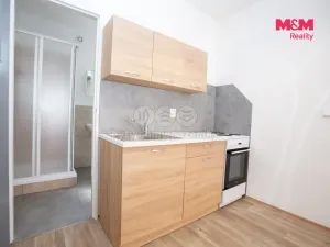 Pronájem bytu 1+kk, Jindřichův Hradec - Jindřichův Hradec III, Václavská, 24 m2