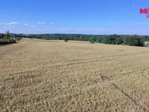 Prodej pozemku pro bydlení, Čimelice, 1008 m2