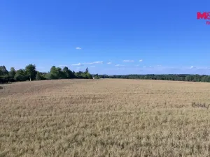 Prodej pozemku pro bydlení, Čimelice, 1008 m2