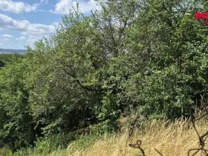 Prodej zahrady, Brno - Ivanovice, 1358 m2
