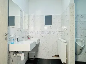 Pronájem obchodního prostoru, Česká Třebová, U Teplárny, 235 m2