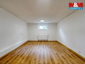 Prodej obchodního prostoru, Plzeň - Východní Předměstí, Ořechová, 26 m2
