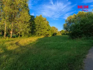 Prodej louky, Horní Bříza, 4590 m2