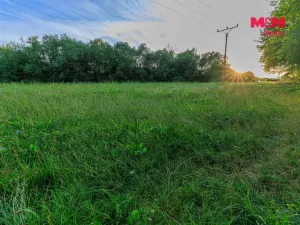 Prodej louky, Horní Bříza, 4590 m2
