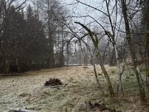 Prodej lesa, Vacov, 24200 m2