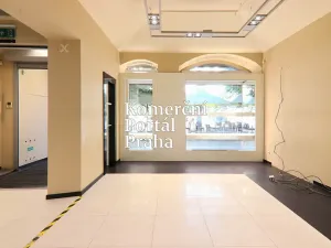 Pronájem obchodního prostoru, Praha - Nové Město, Václavské náměstí, 309 m2