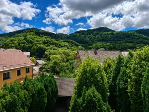 Prodej rodinného domu, Stráž nad Ohří, 200 m2