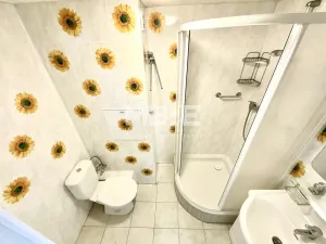 Pronájem bytu 2+kk, Bílina, 41 m2