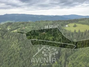 Prodej rodinného domu, Mosty u Jablunkova, 168 m2
