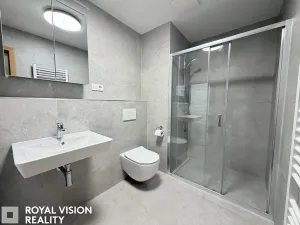 Pronájem bytu 1+kk, Brno, Dornych, 34 m2