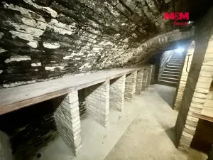 Prodej vinného sklepa, Hustopeče, Kpt. Jaroše, 80 m2