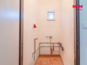 Prodej zemědělské usedlosti, Libějovice - Nestanice, 163 m2