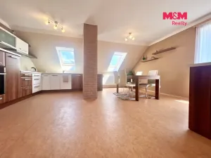 Pronájem rodinného domu, Strmilov - Česká Olešná, 200 m2