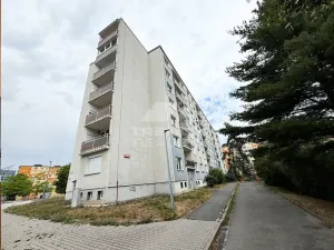 Pronájem bytu 2+1, Plzeň, Karla Steinera, 64 m2