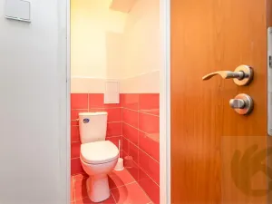 Pronájem bytu 2+1, Štětí, Školní, 53 m2