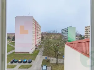 Pronájem bytu 2+1, Štětí, Školní, 53 m2