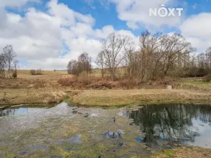 Prodej apartmánu, Staré Město, Sportovní, 83 m2