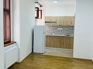 Pronájem bytu 1+kk, Olomouc, Uhelná, 30 m2