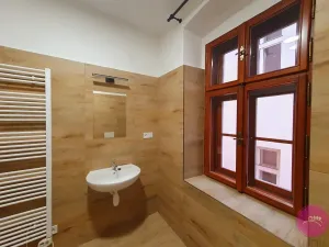 Pronájem bytu 1+kk, Olomouc, Uhelná, 30 m2