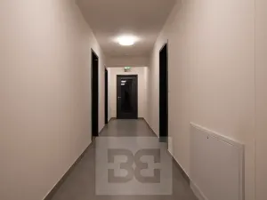 Pronájem bytu 1+kk, Praha - Vysočany, Střídavá, 36 m2