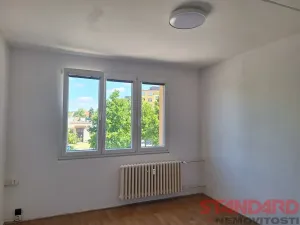 Pronájem bytu 1+kk, Dobřany, 17. listopadu, 19 m2