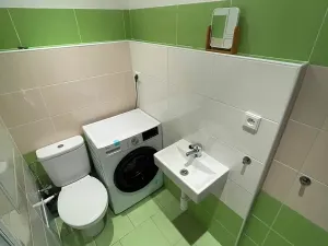 Pronájem bytu 1+kk, Dobřany, 17. listopadu, 19 m2