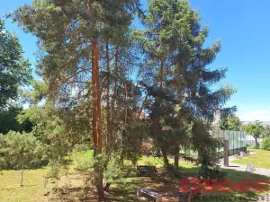 Pronájem bytu 1+kk, Dobřany, 17. listopadu, 19 m2