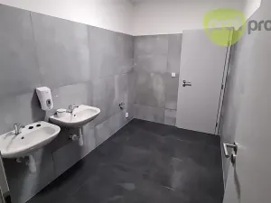 Pronájem skladu, Zlín, Šedesátá, 3000 m2