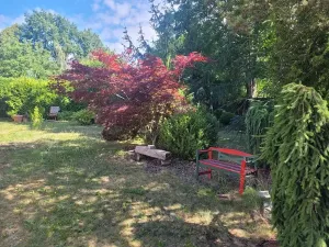 Prodej chalupy, Plánice, 120 m2