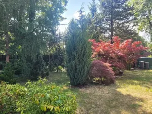 Prodej chalupy, Plánice, 120 m2