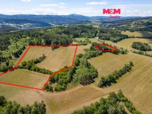 Prodej louky, Nišovice, 36981 m2