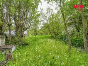 Prodej zemědělské usedlosti, Neurazy - Soběsuky, 138 m2