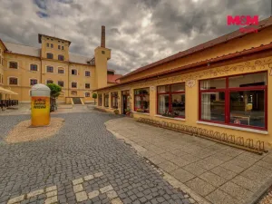 Prodej výrobních prostor, Kynšperk nad Ohří, Sokolovská, 8700 m2