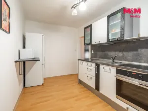 Pronájem bytu 1+1, Bechyně, Na Libuši, 46 m2