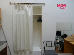 Pronájem bytu 1+kk, Praha - Vinohrady, Mánesova, 17 m2
