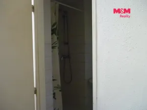Pronájem bytu 1+kk, Praha - Vinohrady, Mánesova, 17 m2