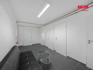 Prodej obchodního prostoru, Hradec Králové - Pražské Předměstí, Seydlerova, 195 m2