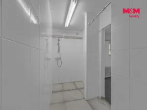 Prodej obchodního prostoru, Hradec Králové - Pražské Předměstí, Seydlerova, 195 m2