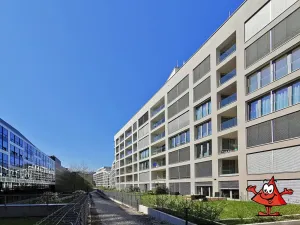 Pronájem bytu 2+kk, Praha - Karlín, Breitfeldova, 61 m2