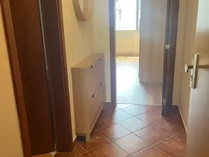 Pronájem bytu 1+kk, České Budějovice, Riegrova, 32 m2