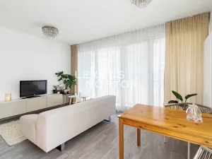 Prodej bytu 2+kk, Praha - Žižkov, Olgy Havlové, 53 m2