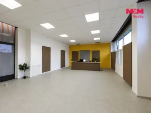 Pronájem obchodního prostoru, Plzeň - Jižní Předměstí, Husova, 93 m2