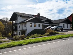 Prodej bytu 2+kk, Železná Ruda, 58 m2