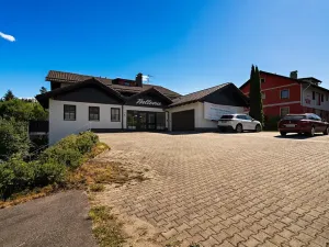 Prodej bytu 2+1, Železná Ruda, 55 m2